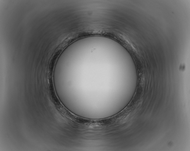 X0000095920643200801110856
