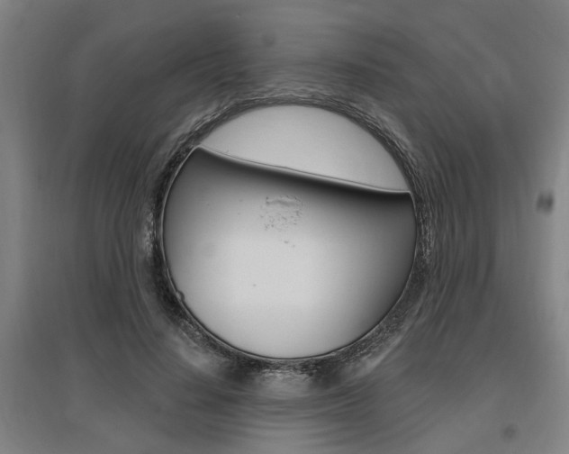 X0000095920644200801110856