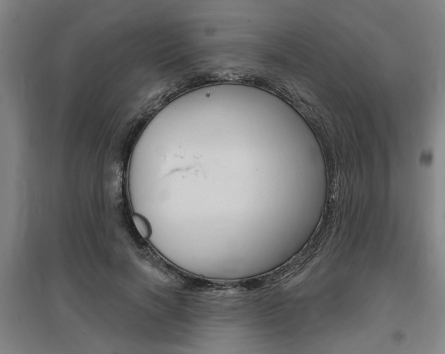 X0000095920646200801110856