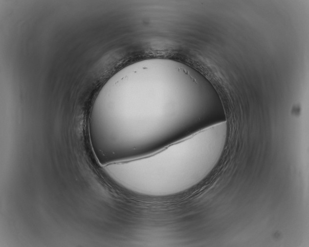 X0000095920647200801110856