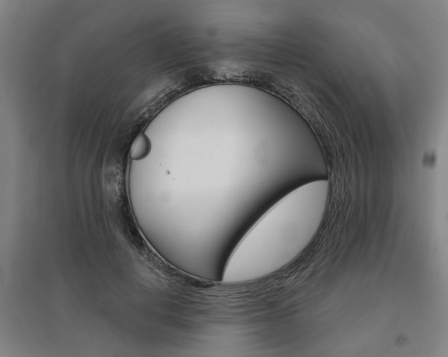 X0000095920648200801110856
