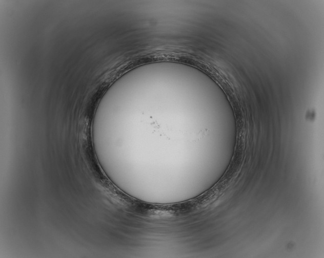 X0000095920649200801110856
