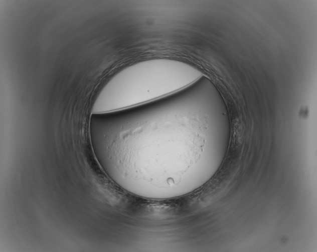 X0000095920650200801110856