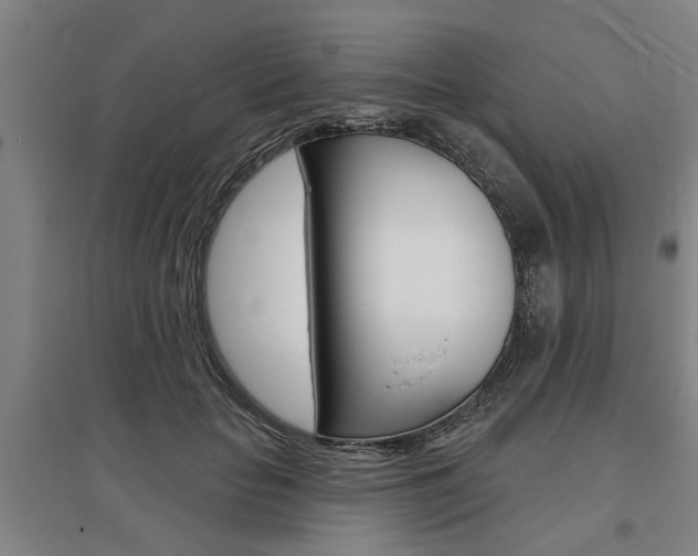 X0000095920653200801110856