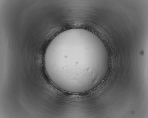 X0000095920654200801110856