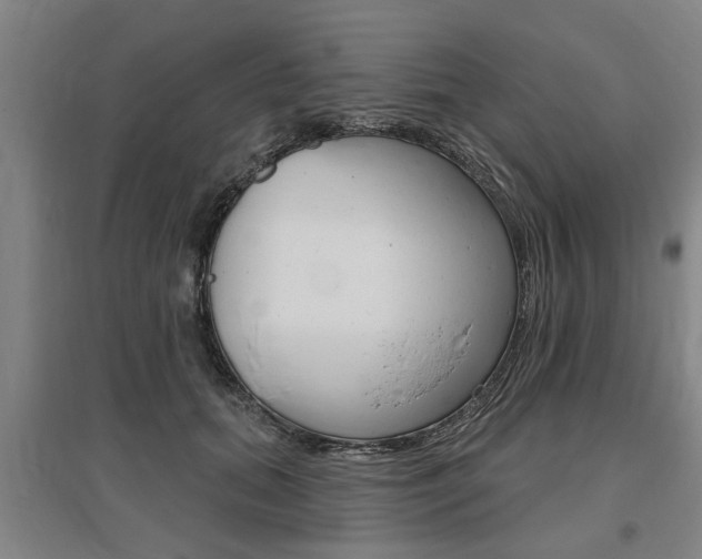 X0000095920655200801110856