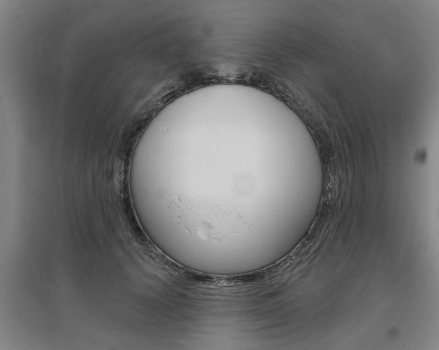 X0000095920656200801110856