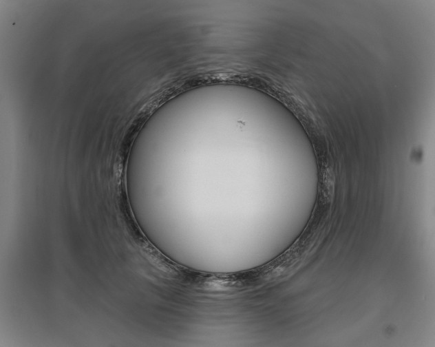 X0000095920657200801110856