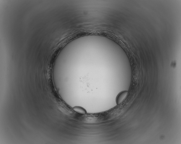 X0000095920658200801110856