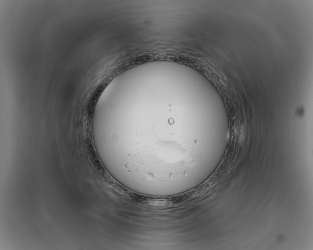 X0000095920659200801110856