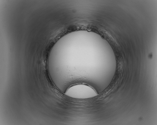 X0000095920661200801110856