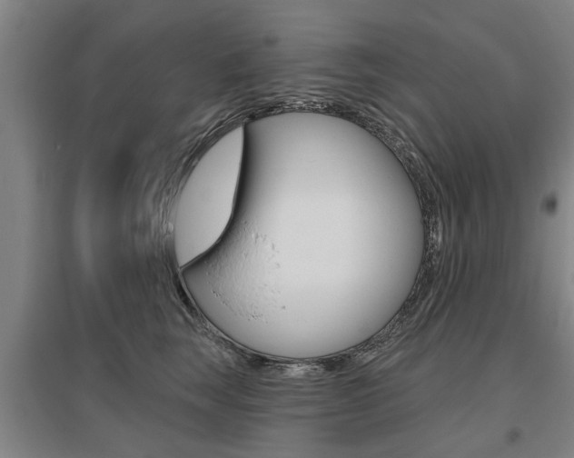 X0000095920663200801110856