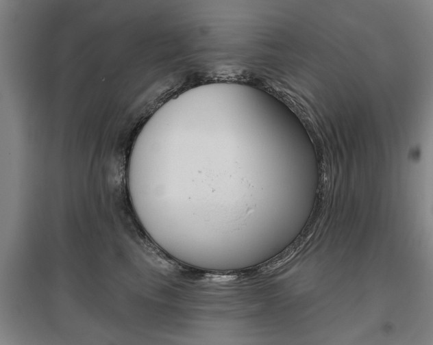 X0000095920665200801110856