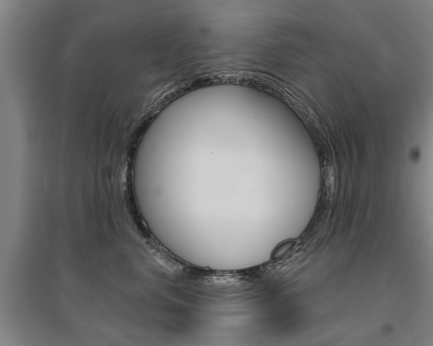 X0000095920668200801110856