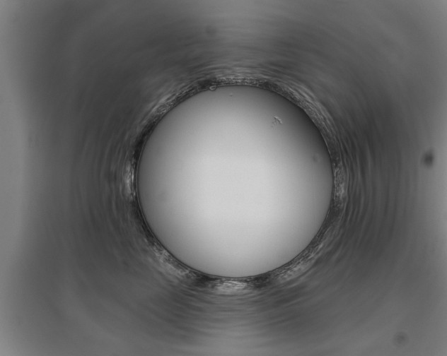 X0000095920669200801110856