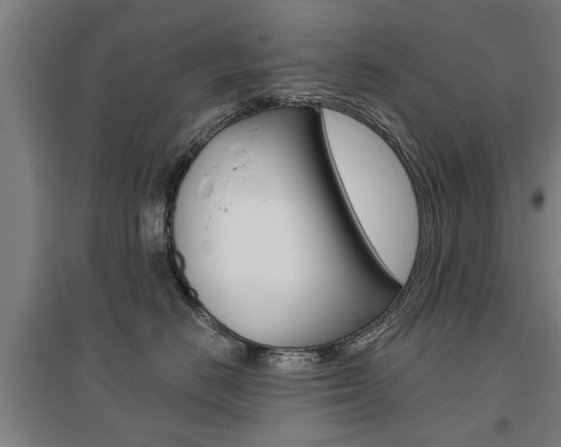 X0000095920670200801110856