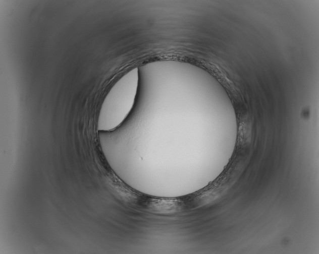 X0000095920671200801110856