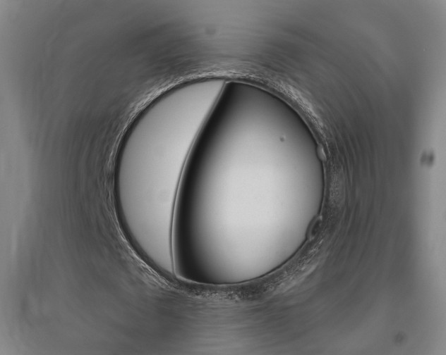 X0000095920673200801110856