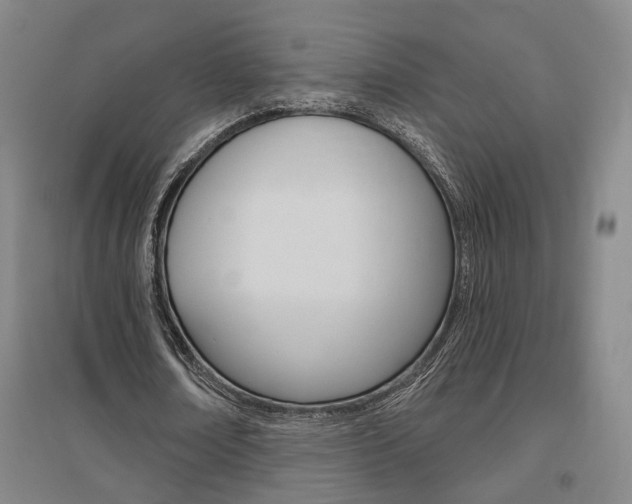 X0000095920674200801110856