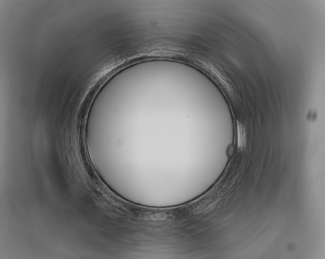 X0000095920675200801110856
