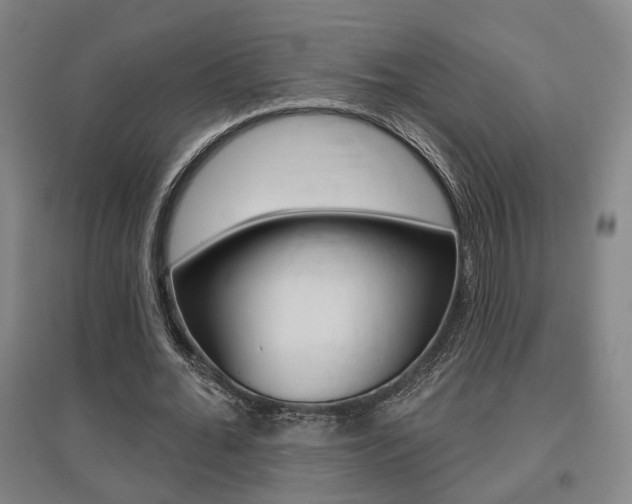 X0000095920676200801110856