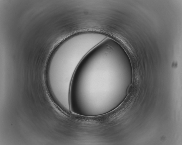 X0000095920677200801110856