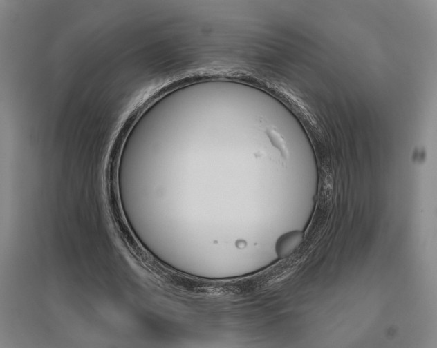 X0000095920678200801110856