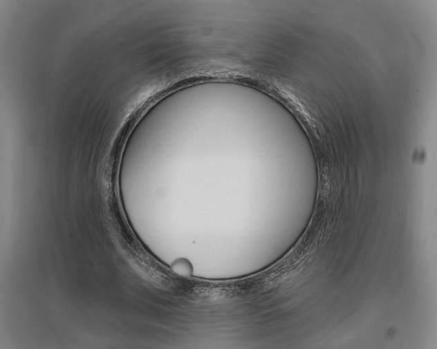 X0000095920679200801110855