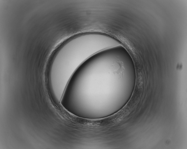X0000095920680200801110855