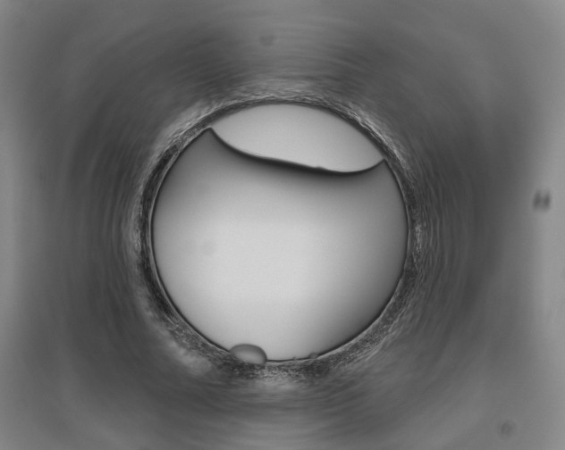 X0000095920682200801110855