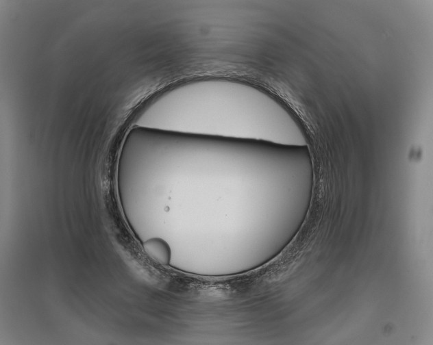 X0000095920683200801110855