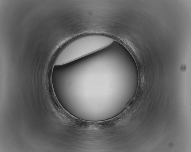 X0000095920684200801110855