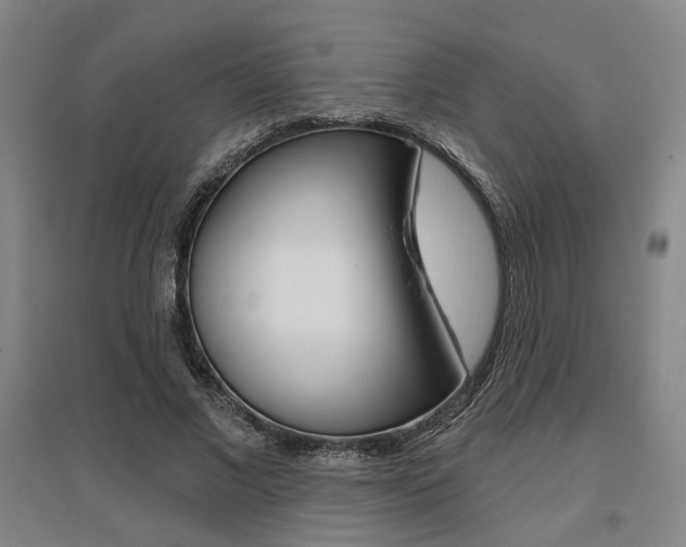 X0000095920685200801110855