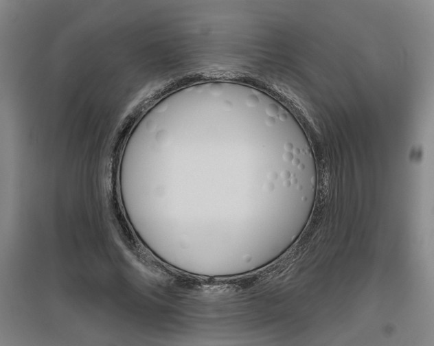 X0000095920686200801110855
