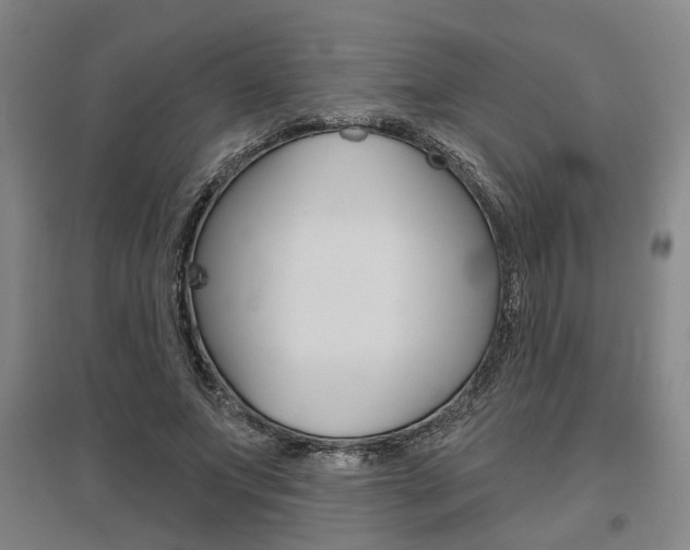 X0000095920687200801110855