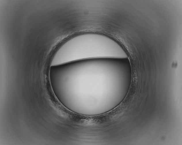 X0000095920688200801110855