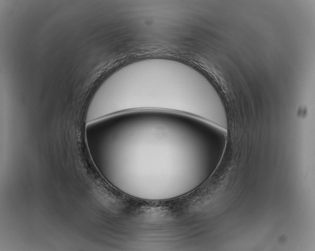 X0000095920689200801110855