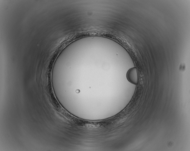 X0000095920690200801110855