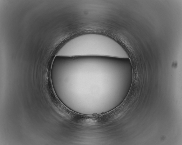 X0000095920692200801110855