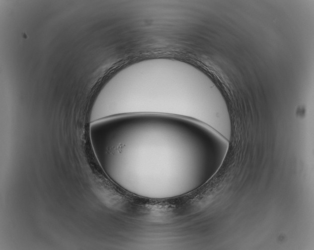 X0000095920693200801110855
