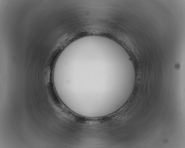 X0000095920694200801110855