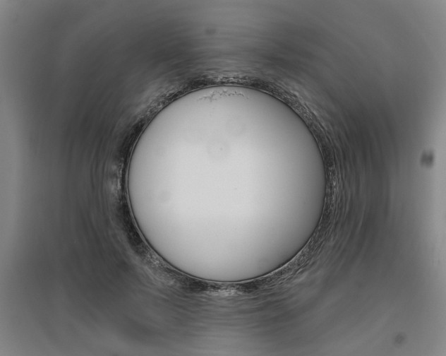 X0000095920695200801110855