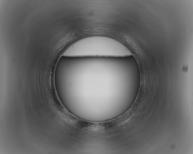 X0000095920696200801110855