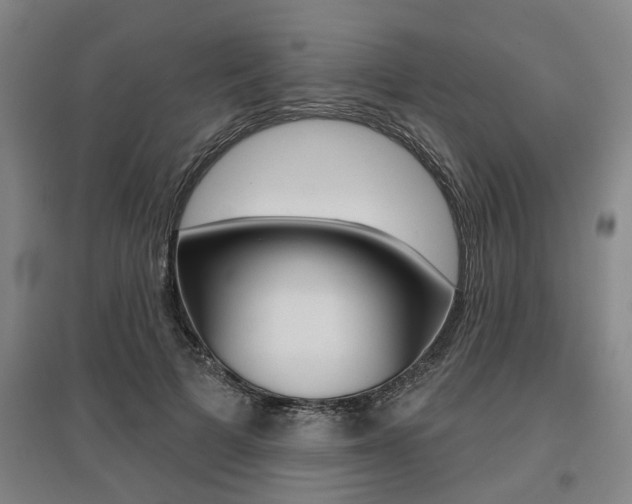 X0000095920697200801110855
