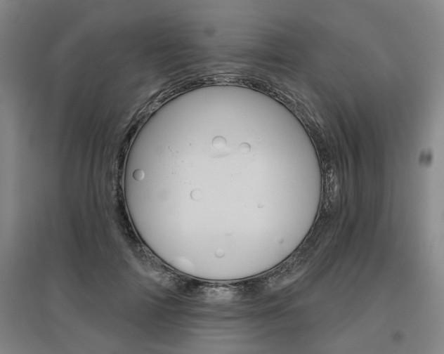 X0000095920698200801110855