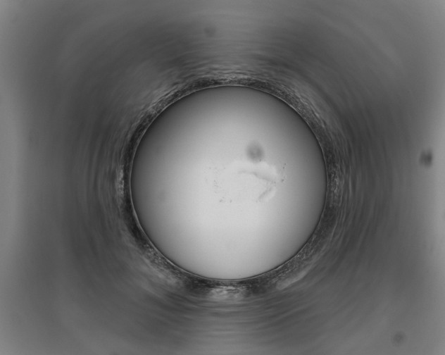 X0000095920700200801110855