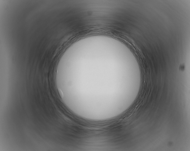 X0000095920701200801110855