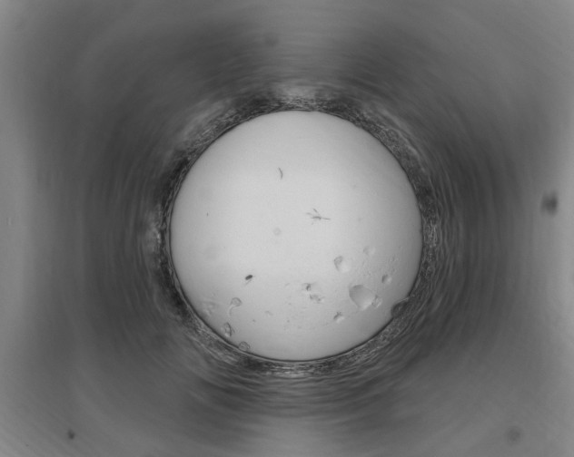 X0000095920702200801110855