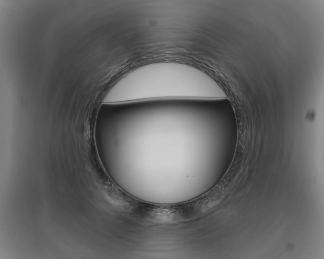 X0000095920704200801110855