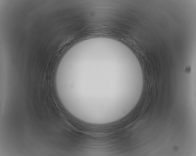 X0000095920705200801110855